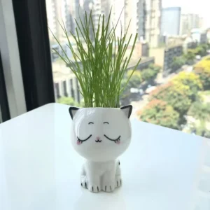 Ceramiczna doniczka mini kot na biurko Burgundia