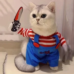 Ciepłe ubranko dla kota kostium na Halloween 