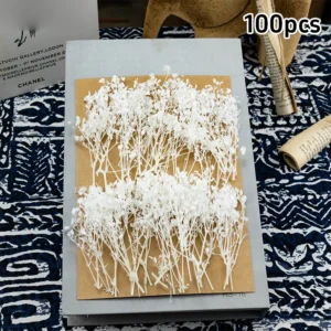 100 sztuk mini suszonych kwiatów gipsówki — wypełniacz do bukietów i dekoracji domu Beżowy